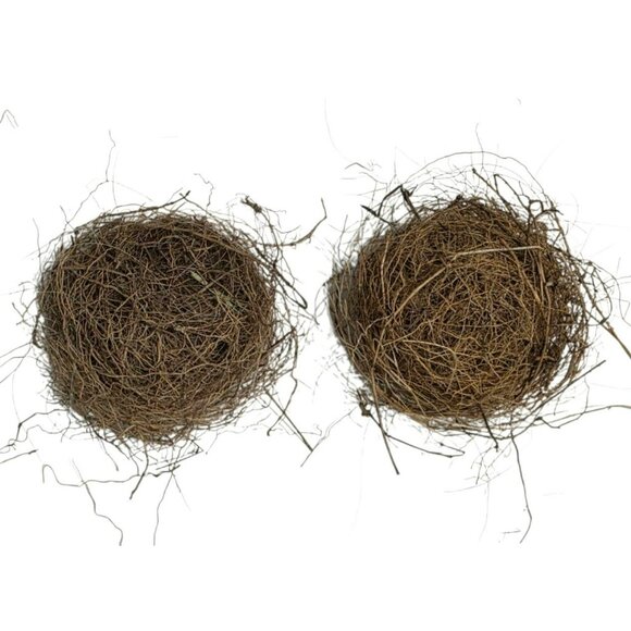 2 Genuine Bird Nest Natural Twigs Fur Lined Small Rustic Abandoned Sparrow Wren - Picture 3 of 10